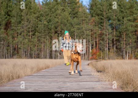 Hund läuft voraus Frau genießt die Natur auf dem Öko-Trail im skandinavischen Naturpark im Kiefernwald. Stockfoto