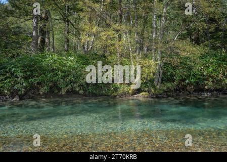 Frischer blauer Bach Waldlandschaft Hintergrund Stockfoto