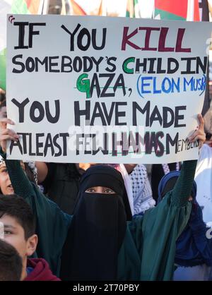Eine pro-palästinensische Frau hält ein Schild während eines marsches in den Straßen der Midtown St. Louis in St. Louis am Sonntag, 12. November 2023. Der Protest ruft zu einem Waffenstillstand in Gaza nach dem Angriff der Hamas auf Israel am 7. Oktober 2023 auf. Foto: Bill Greenblatt/UPI Stockfoto