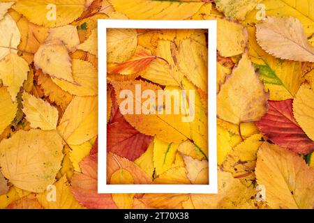 Ein hohler, weißer vertikaler Rahmen liegt in der Mitte der gelben Herbstblätter Stockfoto