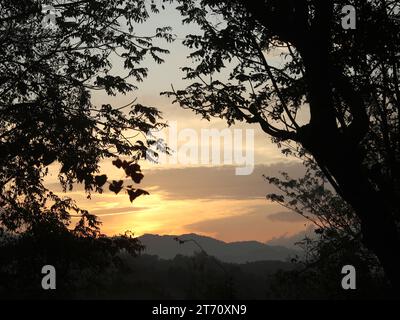 Die Sonne scheint durch die Bäume Stockfoto