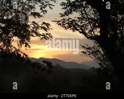 Die Sonne scheint durch die Bäume Stockfoto