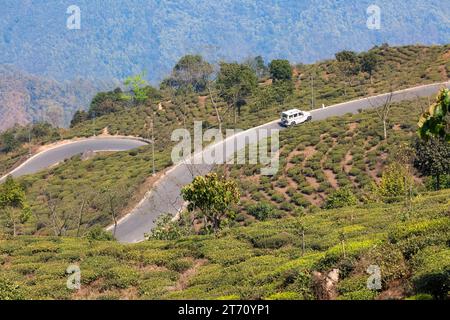 Gewundene Bergstraßen mit Teeplantagen an den Hängen und Blick auf die Himalaya-Bergkette Tinchuley im Bezirk Darjeeling, Indien Stockfoto