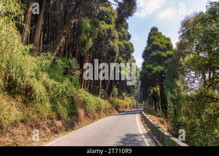 Malerische Bergstraße mit Blick auf die majestätische schneebedeckte Kanchenjunga Himalaya Bergkette bei Tinchuley, Darjeeling, Indien Stockfoto