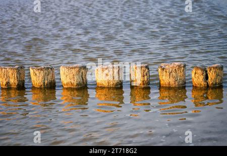 Nahaufnahme von Wellenbrechern an der Ostsee in Polen. Stockfoto