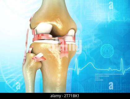 Die menschliche Kniegelenkanatomie vor medizinischem Hintergrund. 3D-Abbildung Stockfoto