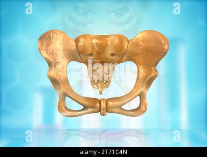 Skelett des menschlichen Beckens. 3D-Abbildung Stockfoto