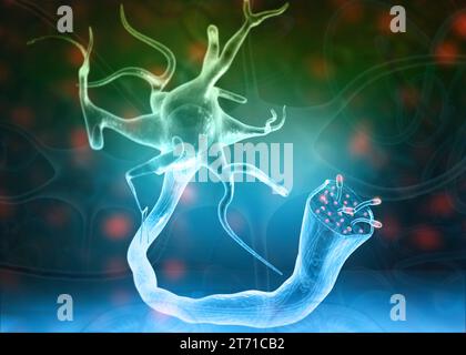 Neuronen und Nervensystem auf wissenschaftlichem Hintergrund. 3D-Abbildung Stockfoto