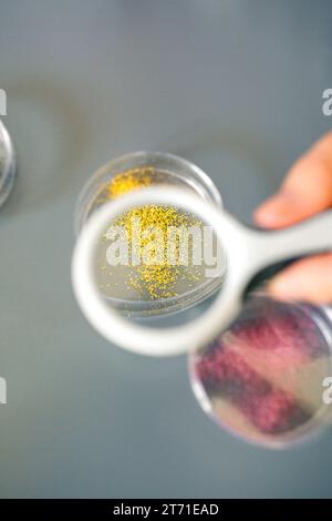 Chemikerin, die eine Lupe hält, um goldene Glitzerprobe auf Petrischale im Labor zu analysieren Stockfoto