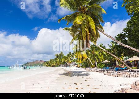 Praslin, Seychellen - 14. August 2023: Touristen entspannen sich am Strand mit Palmen und weißem Sand unter blauem Himmel an einem sonnigen Sommertag Stockfoto