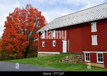 Buntes Ahornlaub neben einem roten Farmhaus in mcknight stown, in der Nähe von gettysburg, pennsylvania Stockfoto