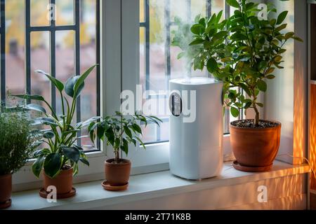 Ultraschall-weißer Luftbefeuchter auf Fensterbank unter Topfpflanzen-Blüten, die Wasserdampf sprühten. Stockfoto