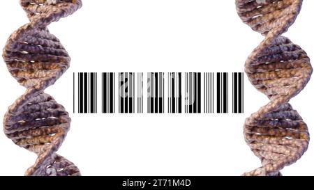 Isoliertes Nahaufnahme-DNA-Helix- und Barcode-3D-Rendering Stockfoto