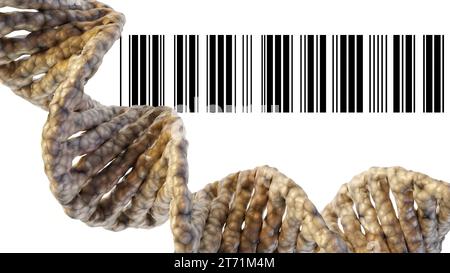 Isoliertes Nahaufnahme-DNA-Helix- und Barcode-3D-Rendering Stockfoto