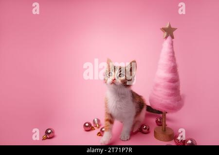 Kleines niedliches Kätzchen mit Trikolore auf rosa Hintergrund sitzt neben kreativem, flauschigem Weihnachtsbaum mit glänzenden Kugeln. Isoliertes Neujahrsdesign. Schwarzweiß Stockfoto