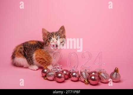 Kleines dreifarbiges Kätzchen auf rosafarbenem Hintergrund leckt Lippen nahe der transparenten Zahlen 2024 Neujahr. Isolierter Hintergrund mit Weihnachtsspielzeugkugeln auf dem Boden. Mo Stockfoto