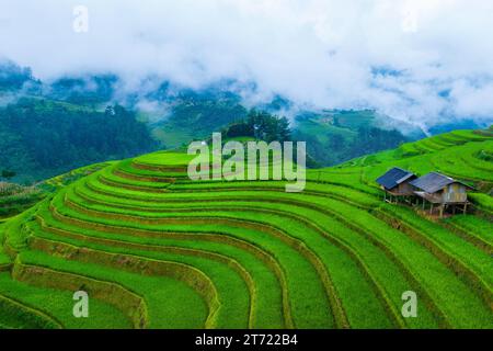 Wunderschöne Reisterrassen am Mam xoi Aussichtspunkt in Mu cang Chai, Vietnam. Stockfoto