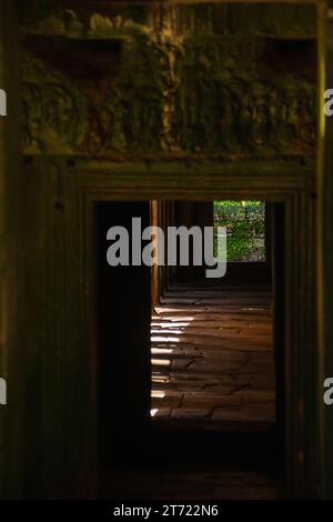 TA Prohm Tempel Siem Reap, Kambodscha Stockfoto