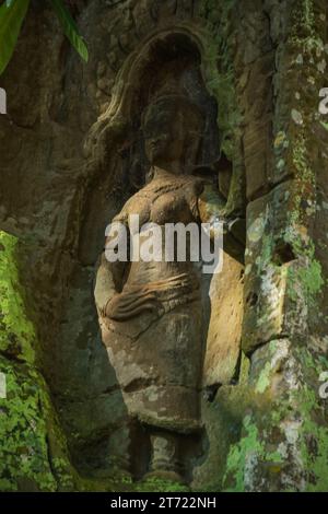 TA Prohm Tempel Siem Reap, kambodiakarbener Stein Stockfoto