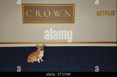 Los Angeles, Kalifornien, USA. November 2023. Ziggy nimmt am 12. November 2023 an der Premiere von Netflix’s „The Crown“ Staffel 6 Part 1 im Regency Village Theatre in Los Angeles Teil. Quelle: Jeffrey Mayer/Jtm Photos/Media Punch/Alamy Live News Stockfoto