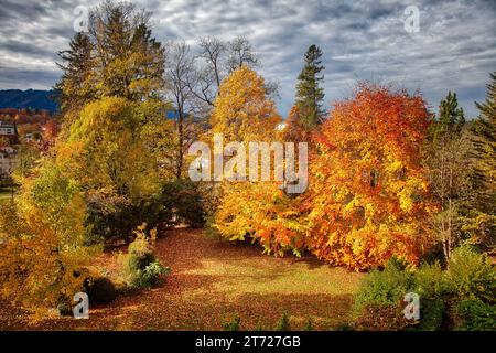 DE - BAYERN: Private herbstliche Gartenszene entlang der Isar mit Blomberg (1248 m) im Hintergrund, Bad Toelz, Oberbayern Stockfoto