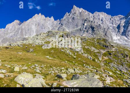 Aiguilles de Chamonix: Aiguille du Midi, Aiguille du Plan, Grepon, Blaitiere wunderschöne Alpenlandschaft am Plan d'Aiguilles im Chamonix-Tal Stockfoto