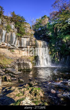 Thronton Force auf den Ingleton Wasserfallpfaden am Fluss Twiss bei Ingleton in North Yorkshire. Stockfoto