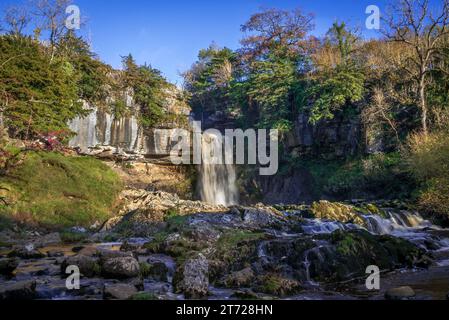 Thronton Force auf den Ingleton Wasserfallpfaden am Fluss Twiss bei Ingleton in North Yorkshire. Stockfoto