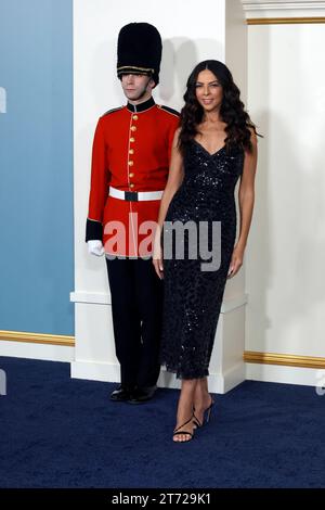 LOS ANGELES, KALIFORNIEN - 12. NOVEMBER: Terri Seymour, bei Netflix The Crown Staffel 6 LA Premiere am Westwood Regency Village Theatre in Los Angeles, Kalifornien am 12. November 2023. Copyright: XFayexSadoux Credit: Imago/Alamy Live News Stockfoto