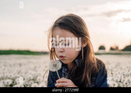 Porträt einer entzückenden kleinen Dame in Jeansjacke, die auf einer Wiese voller weißer Löwenzahn steht und eine Blume in der Hand hat und flauschige Samen blasen will. G Stockfoto