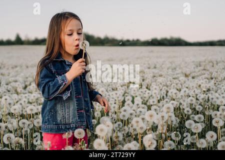 Wunderschönes weibliches Kind, das auf einer weißen Löwenzahnwiese läuft, eine Blume in der Hand hält und eine flauschige Blüte bläst. Mädchen in Jeansjacke und pinker Hose Stockfoto