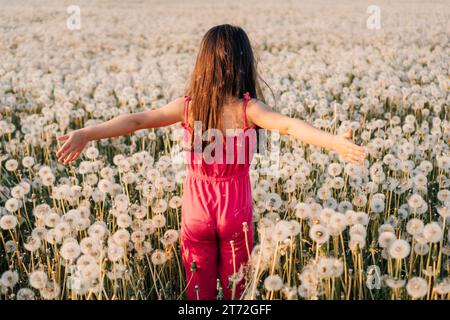 Rückansicht eines kleinen Mädchens mit braunen langen Haaren, das mit weit offenen Armen im Feld steht, umgeben von einer großen Menge weißer Löwenzahn. Glückliches Kind in rosa J Stockfoto