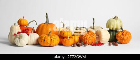 Thanksgiving-Tag. Schöne Komposition mit Kürbissen auf weißem Hintergrund Stockfoto