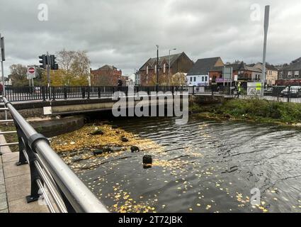 Der Kanal in Newry, eines der am schlimmsten von Überschwemmungen betroffenen Gebiete der letzten Wochen, wies anhaltend hohe Wasserstände auf, als Sturm Debi nach Nordirland zieht. Schwere Winde und umgestürzte Bäume wurden im ganzen Land gemeldet, als die lokalen Behörden beginnen, die Schäden zu bewerten, während Storm Debi über die Insel Irland fliegt. Bilddatum: Sonntag, 13. November 2022. Stockfoto