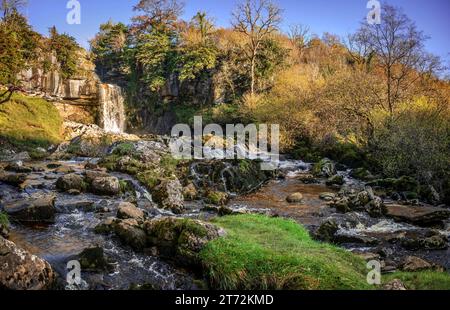 Thronton Force auf den Ingleton Wasserfallpfaden am Fluss Twiss bei Ingleton in North Yorkshire. Stockfoto