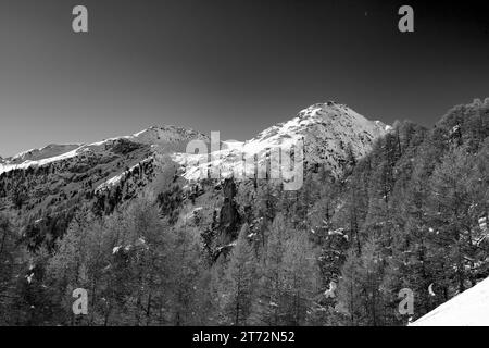 Schneeweiß und schwarz auf dem Gipfel Schweiz Stockfoto