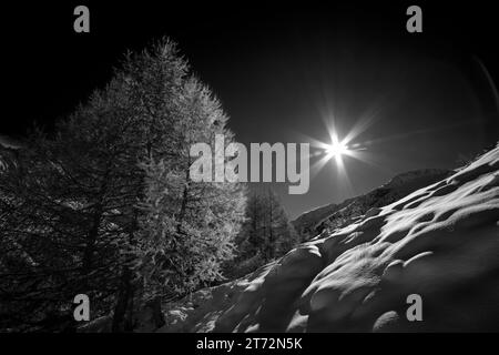 Schneeweiß und schwarz auf dem Gipfel Schweiz Stockfoto