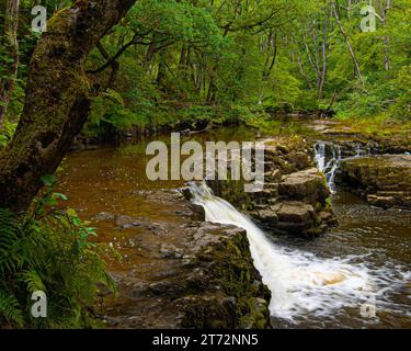 Ein malerischer Blick auf einen Wasserfall, der in einem grünen Wald die Felsen hinunterfällt Stockfoto