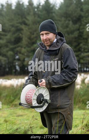 Hirtenmob weidet raue Weiden mit Schafen, die an einem nassen Herbsttag die elektrischen Zäune um das Fahrerlager bewegen. Cumbria, Großbritannien. Stockfoto