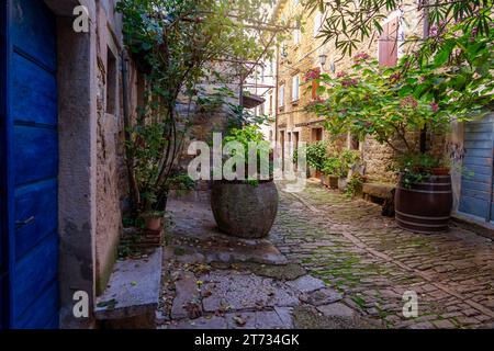 Das charmante kleine Dorf in Kroatien heißt die istrische Toskana mit Steinmauern und schönen Türen und Fenstern. Stockfoto