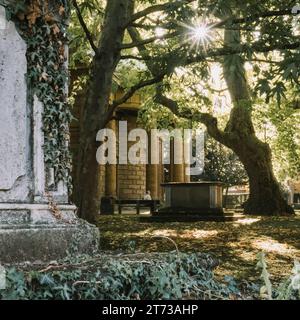 Kirchenhof in St. Mary's Church in Banbury mit Licht, das durch die Bäume kommt. Stockfoto