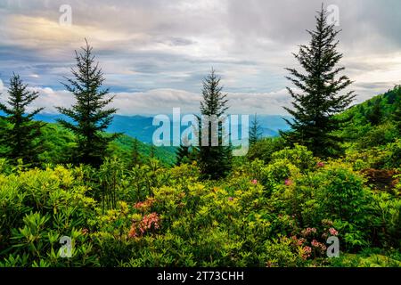 Malerischer Blick auf die Smokie Mountains vom Blue Ridge Parkway in der Nähe von Maggie Valley, North Carolina Stockfoto