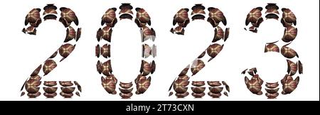 Konzeptionelles 2023 Jahr aus Basketballbällen isoliert auf weißem Hintergrund. Eine abstrakte 3D-Illustration als Metapher für Basketball, Sport Stockfoto