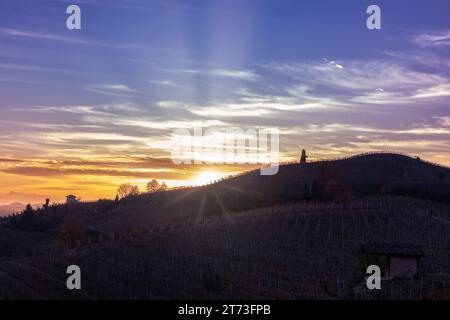 Weinberge in der Nähe von Canale, Piemont, Italien Stockfoto