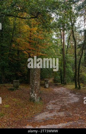 Alte römische Handelsstraße durch den Herbstwald, Peneda-Geres Nationalpark, Vilar da Veiga, Portugal Stockfoto