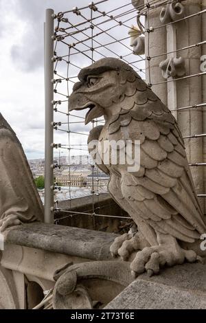 PARIS, FRANKREICH - 13. MAI 2013: Dies ist eine der Schimerstatuen, die im obersten Stockwerk am Fuße der Türme von Notre-Dame de Paris installiert sind Stockfoto