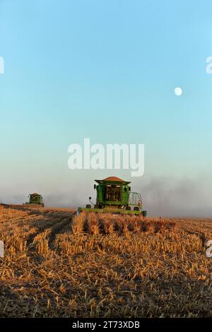 John Deere kombiniert STS 9670, einen Kugelrotor, der die Ernte von „Sorghum vulgare“, auch bekannt als milo oder Hirse, Setzlng Sun, aufgehender Mond, erntet Stockfoto