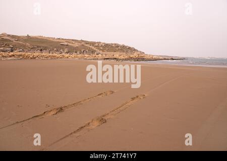 Spuren vom Auto am Ufer des Kaspischen Meeres. Stockfoto