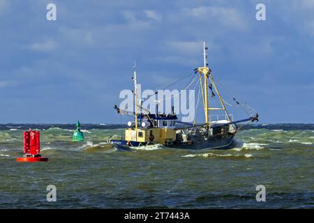 Garnelenschneider 0,191 Romy verlässt den Hafen von Ostend, um an einem stürmischen Tag in Belgien an der Nordseeküste Garnelen mit Grundschleppnetzen zu fangen Stockfoto