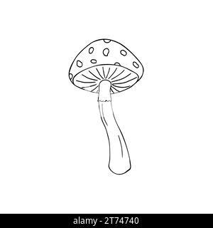 Handgezeichneter Fliegenpilz oder Amanita-Pilz. Ungenießbare Giftpilzskizze. Fliegenpilz-Symbol. Vektorillustration des Pilzes in Schwarz Stock Vektor